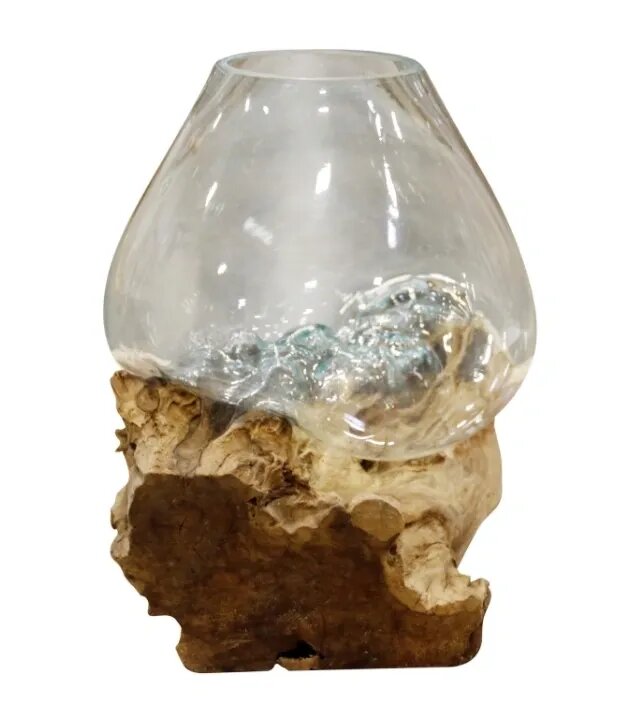 Natural Root Wood Glass Bowl